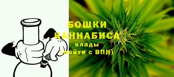 не бодяженный Иннополис