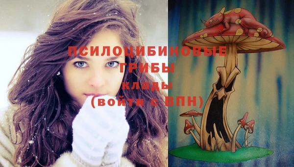 ALPHA-PVP Инсар