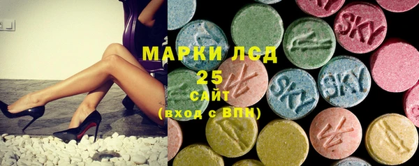 хмурый Инта