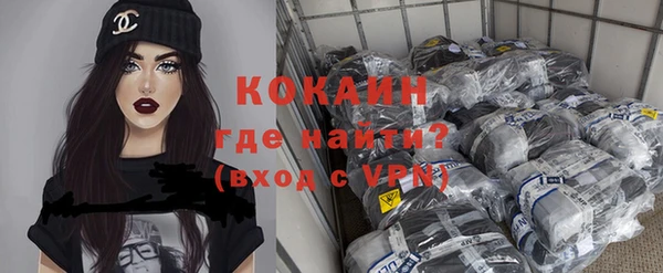 хмурый Инта