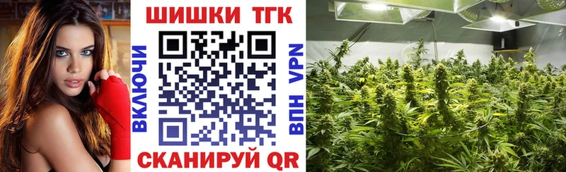 Купить закладки  Пыталово  Конопля MAZAR 